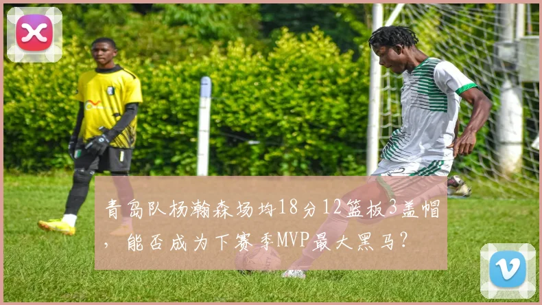 青岛队杨瀚森场均18分12篮板3盖帽，能否成为下赛季MVP最大黑马？